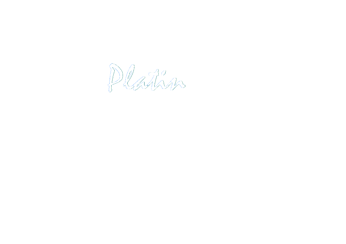 Die Platinschmiede