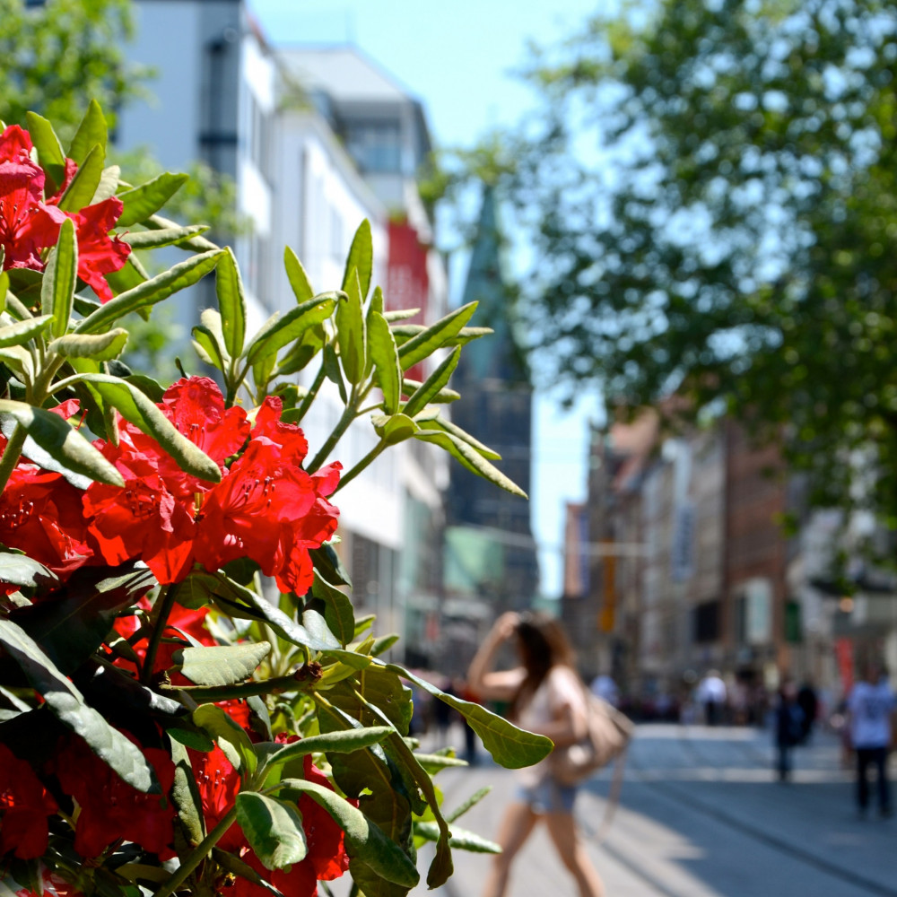 © CityInitiative Bremen Werbung e.V. | Blüten | 