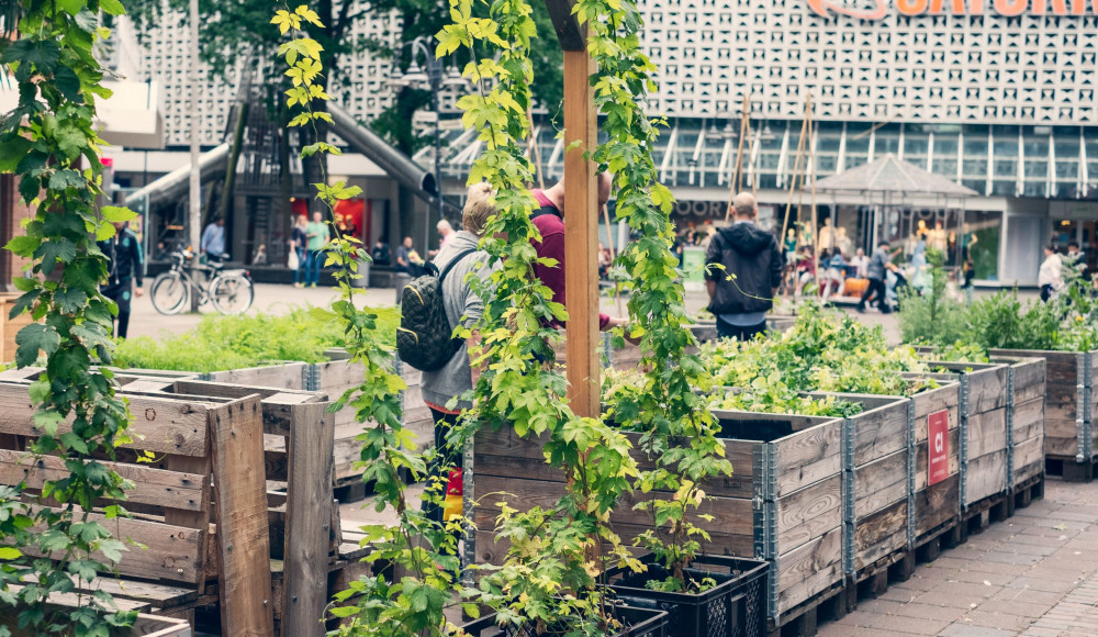 Urban Gardening | 